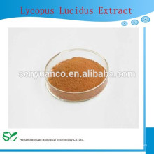 Extracto de Lycopus Lucidus 100% natural